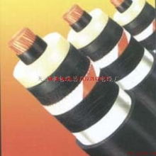 天津电缆厂2×2.5、5×4、5×16电力电缆产品资料详解